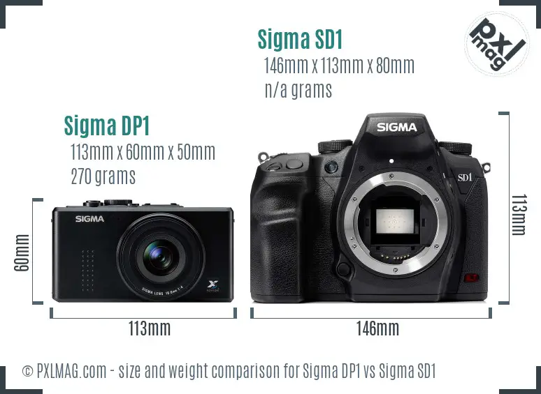 Sigma DP1 vs Sigma SD1 size comparison