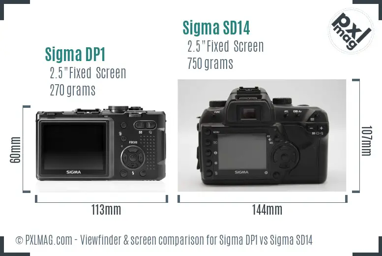 Sigma DP1 vs Sigma SD14 Screen and Viewfinder comparison
