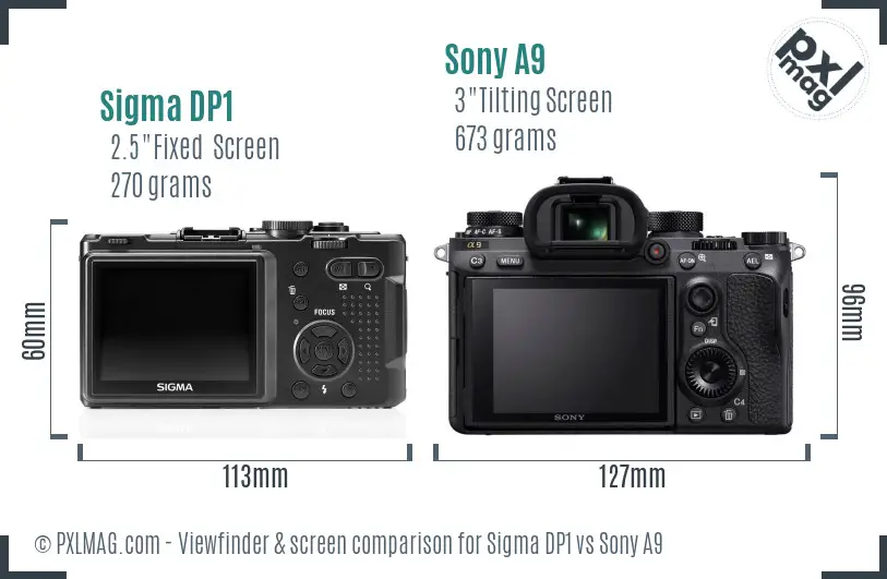 Sigma DP1 vs Sony A9 Screen and Viewfinder comparison
