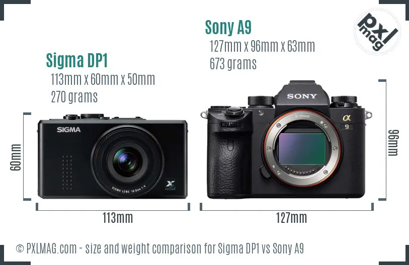 Sigma DP1 vs Sony A9 size comparison