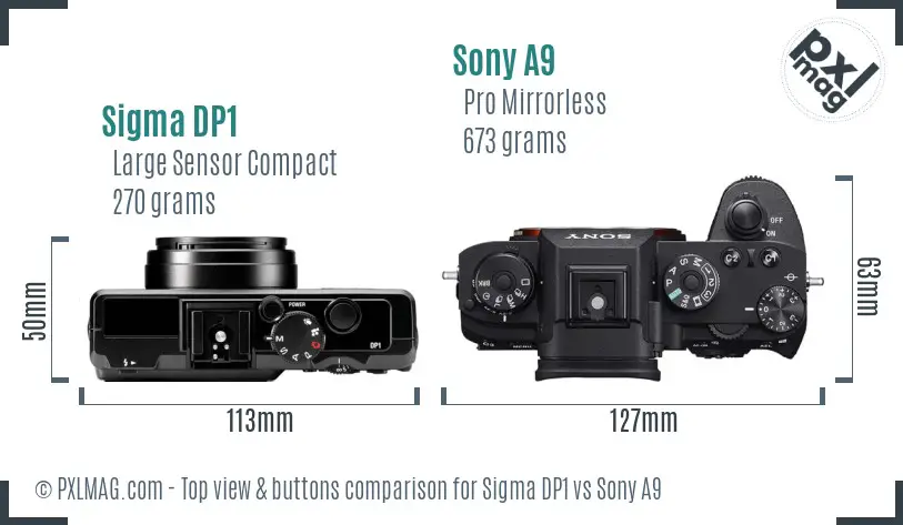 Sigma DP1 vs Sony A9 top view buttons comparison