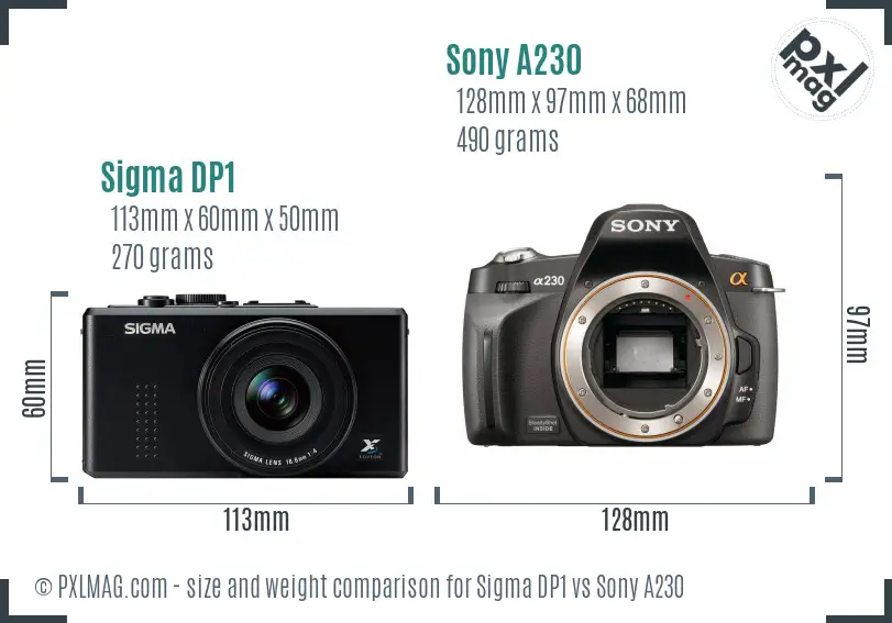 Sigma DP1 vs Sony A230 size comparison