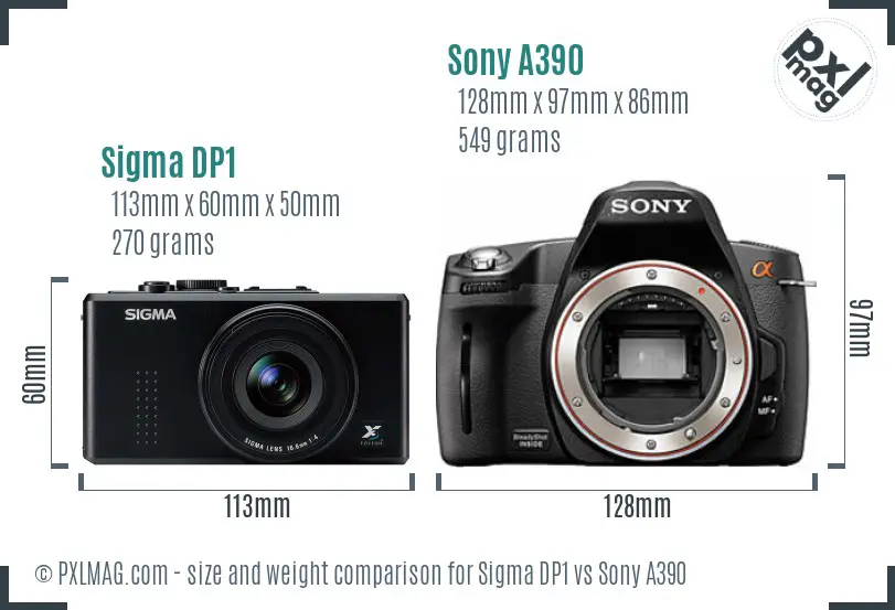 Sigma DP1 vs Sony A390 size comparison