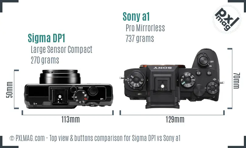 Sigma DP1 vs Sony a1 top view buttons comparison