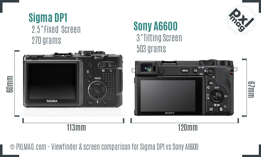 Sigma DP1 vs Sony A6600 Screen and Viewfinder comparison