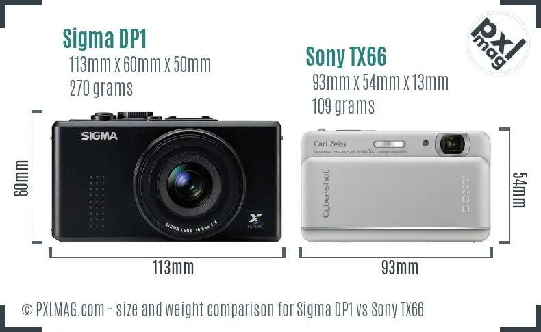 Sigma DP1 vs Sony TX66 size comparison