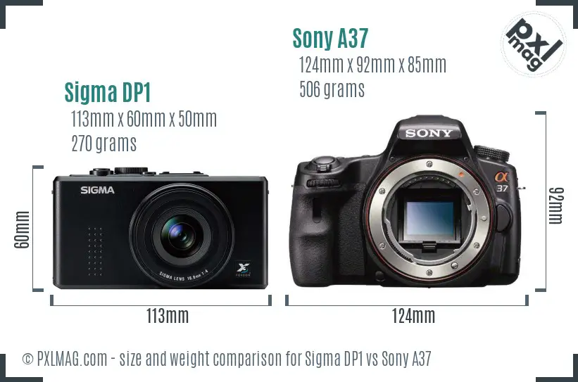 Sigma DP1 vs Sony A37 size comparison