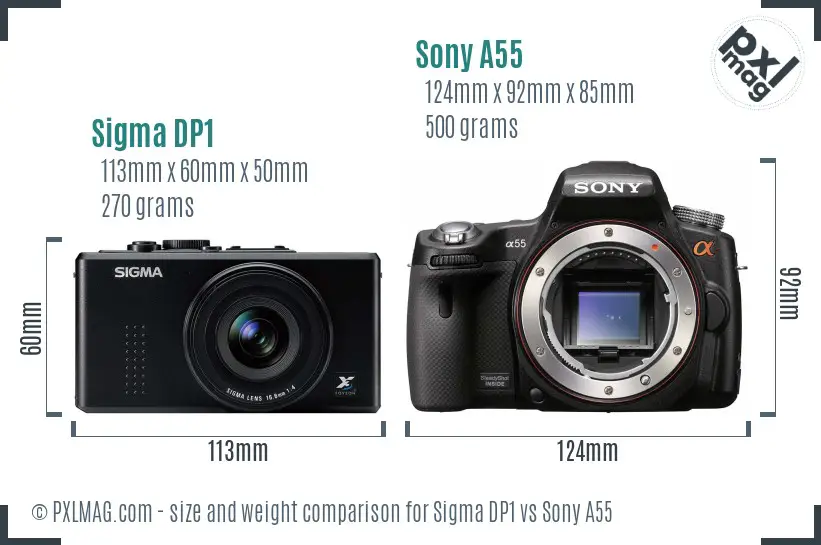 Sigma DP1 vs Sony A55 size comparison