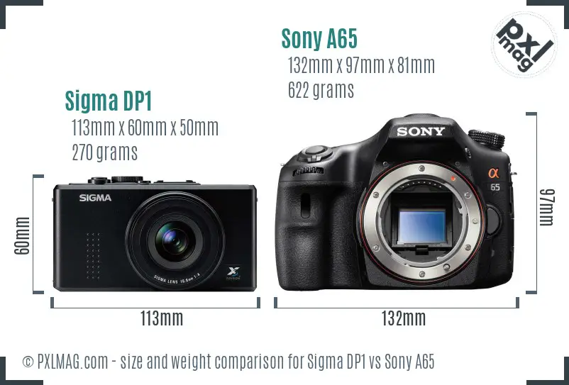 Sigma DP1 vs Sony A65 size comparison