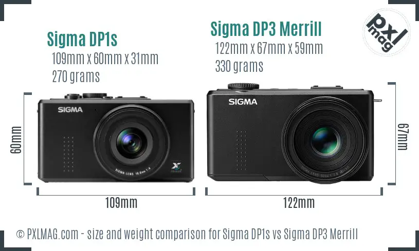Sigma DP1s vs Sigma DP3 Merrill size comparison