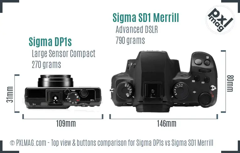 Sigma DP1s vs Sigma SD1 Merrill top view buttons comparison