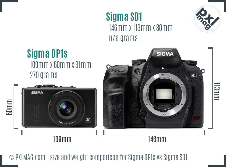 Sigma DP1s vs Sigma SD1 size comparison