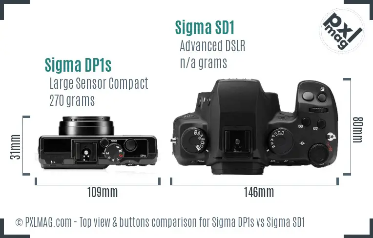 Sigma DP1s vs Sigma SD1 top view buttons comparison