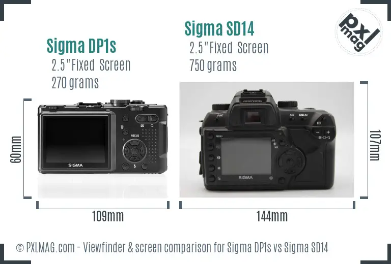 Sigma DP1s vs Sigma SD14 Screen and Viewfinder comparison