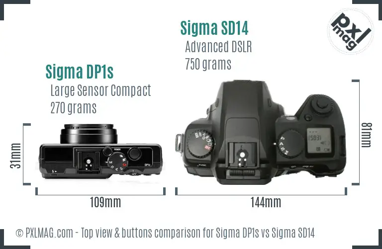 Sigma DP1s vs Sigma SD14 top view buttons comparison