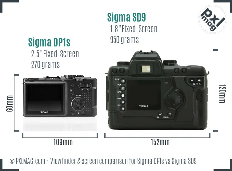 Sigma DP1s vs Sigma SD9 Screen and Viewfinder comparison