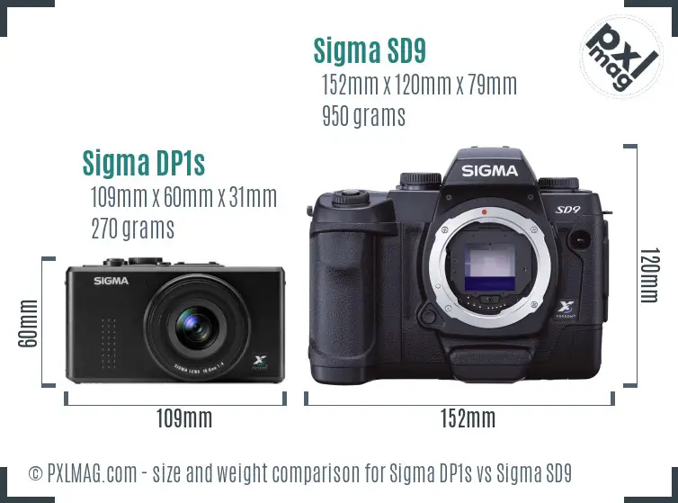 Sigma DP1s vs Sigma SD9 size comparison
