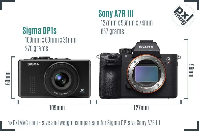 Sigma DP1s vs Sony A7R III size comparison