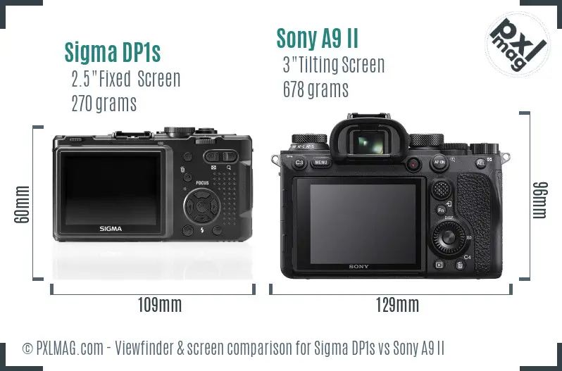 Sigma DP1s vs Sony A9 II Screen and Viewfinder comparison