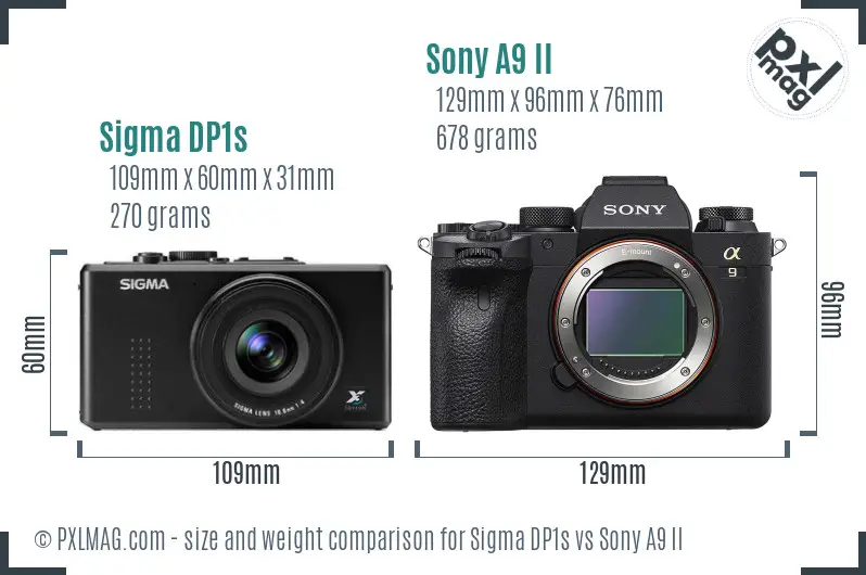 Sigma DP1s vs Sony A9 II size comparison