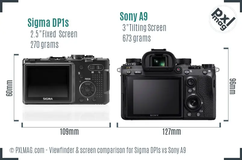 Sigma DP1s vs Sony A9 Screen and Viewfinder comparison