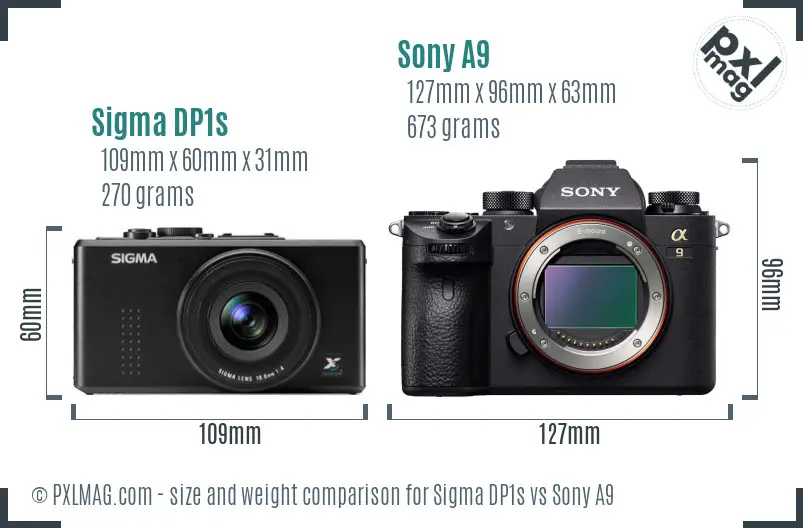 Sigma DP1s vs Sony A9 size comparison