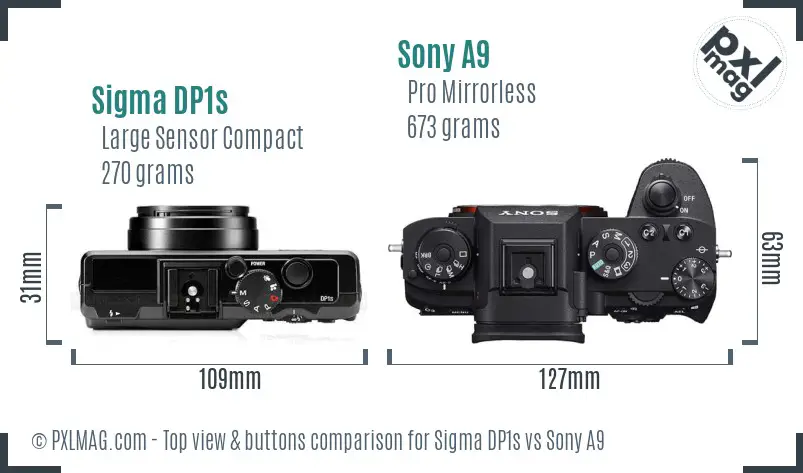 Sigma DP1s vs Sony A9 top view buttons comparison