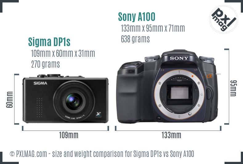 Sigma DP1s vs Sony A100 size comparison