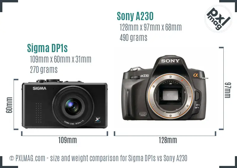 Sigma DP1s vs Sony A230 size comparison