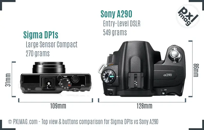 Sigma DP1s vs Sony A290 top view buttons comparison Sigma DP1s vs Sony A290 top view buttons comparison