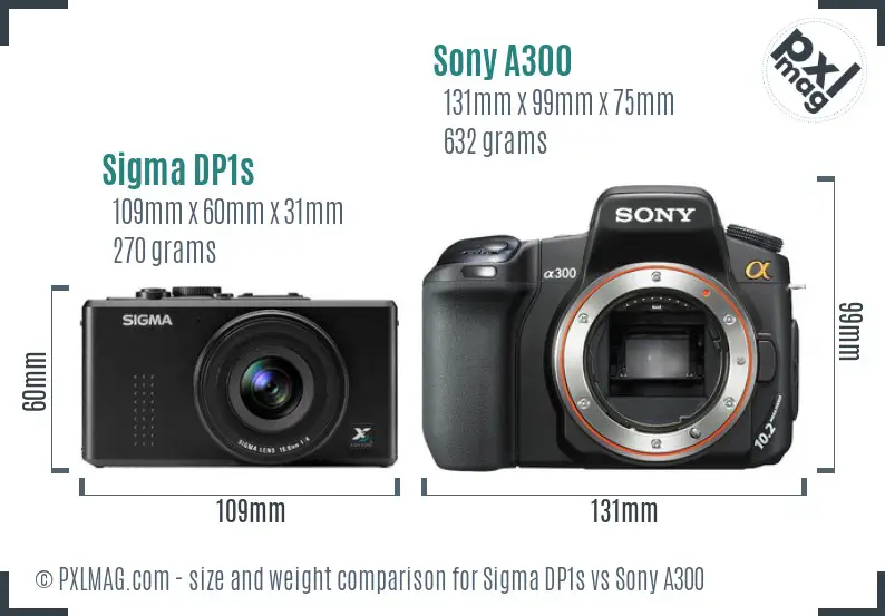 Sigma DP1s vs Sony A300 size comparison