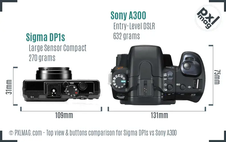 Sigma DP1s vs Sony A300 top view buttons comparison