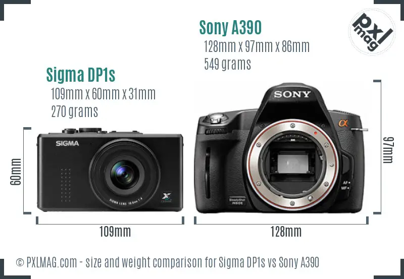 Sigma DP1s vs Sony A390 size comparison