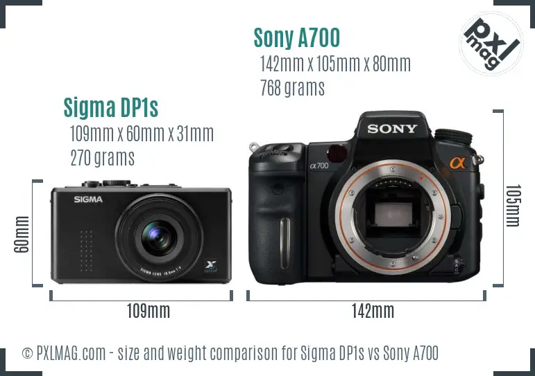 Sigma DP1s vs Sony A700 size comparison