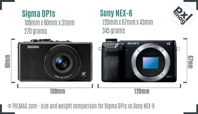 Sigma DP1s vs Sony NEX-6 size comparison