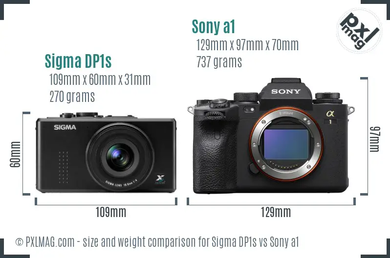Sigma DP1s vs Sony a1 size comparison