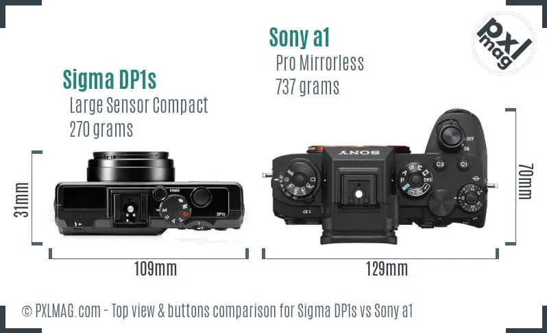 Sigma DP1s vs Sony a1 top view buttons comparison