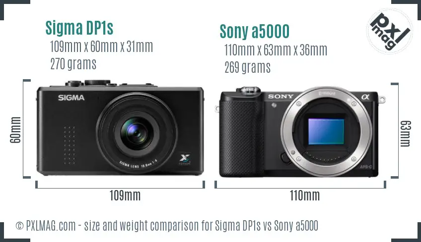 Sigma DP1s vs Sony a5000 size comparison