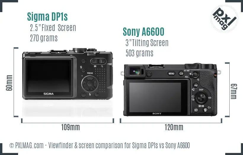 Sigma DP1s vs Sony A6600 Screen and Viewfinder comparison