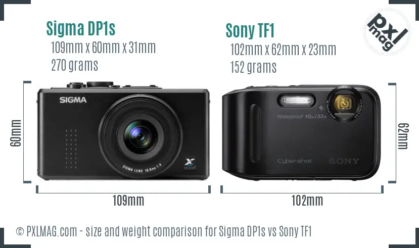 Sigma DP1s vs Sony TF1 size comparison