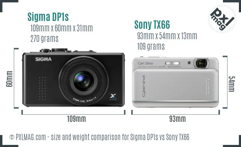 Sigma DP1s vs Sony TX66 size comparison