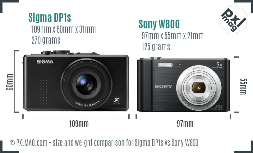 Sigma DP1s vs Sony W800 size comparison