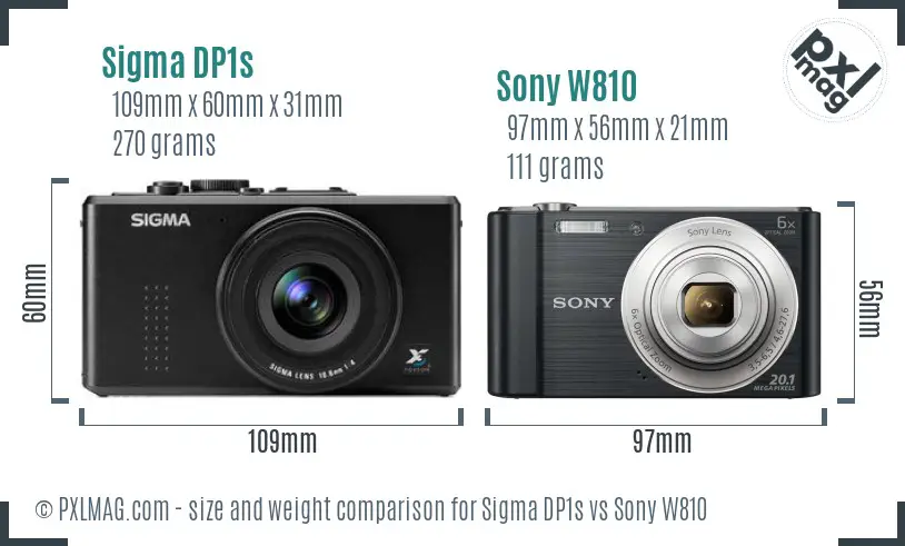 Sigma DP1s vs Sony W810 size comparison