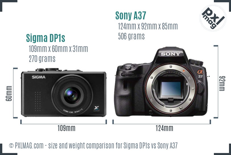 Sigma DP1s vs Sony A37 size comparison