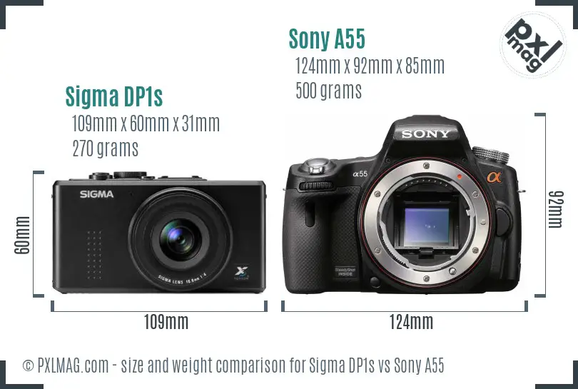 Sigma DP1s vs Sony A55 size comparison