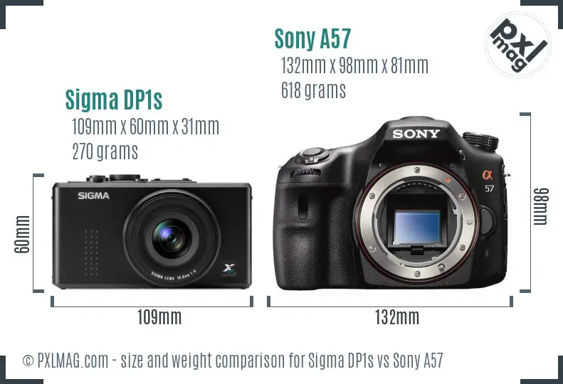 Sigma DP1s vs Sony A57 size comparison