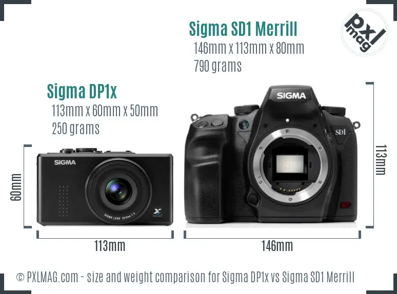 Sigma DP1x vs Sigma SD1 Merrill size comparison