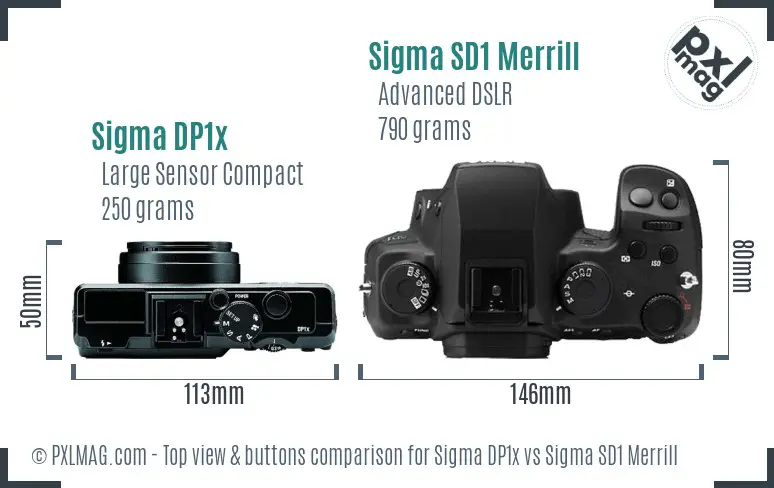 Sigma DP1x vs Sigma SD1 Merrill top view buttons comparison