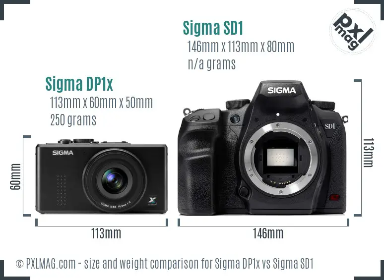 Sigma DP1x vs Sigma SD1 size comparison