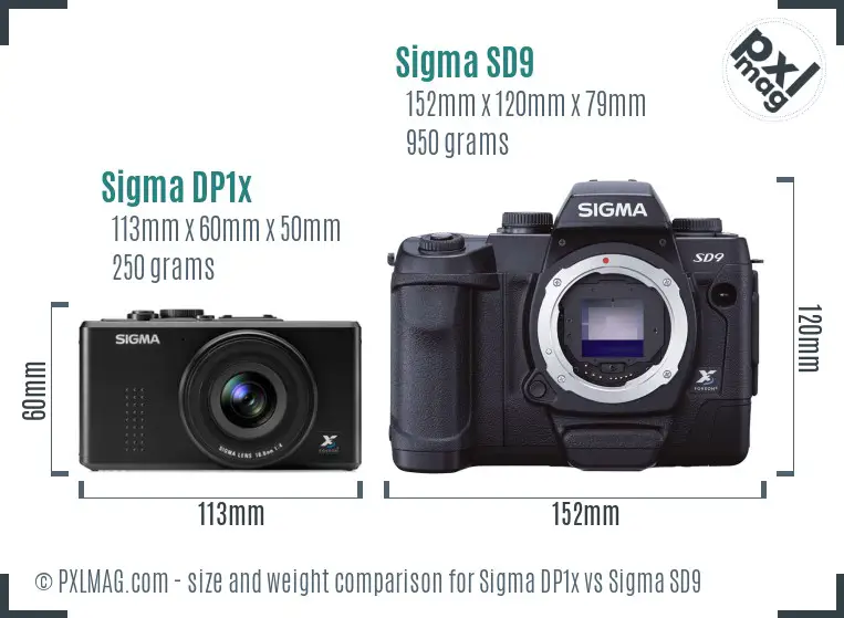 Sigma DP1x vs Sigma SD9 size comparison